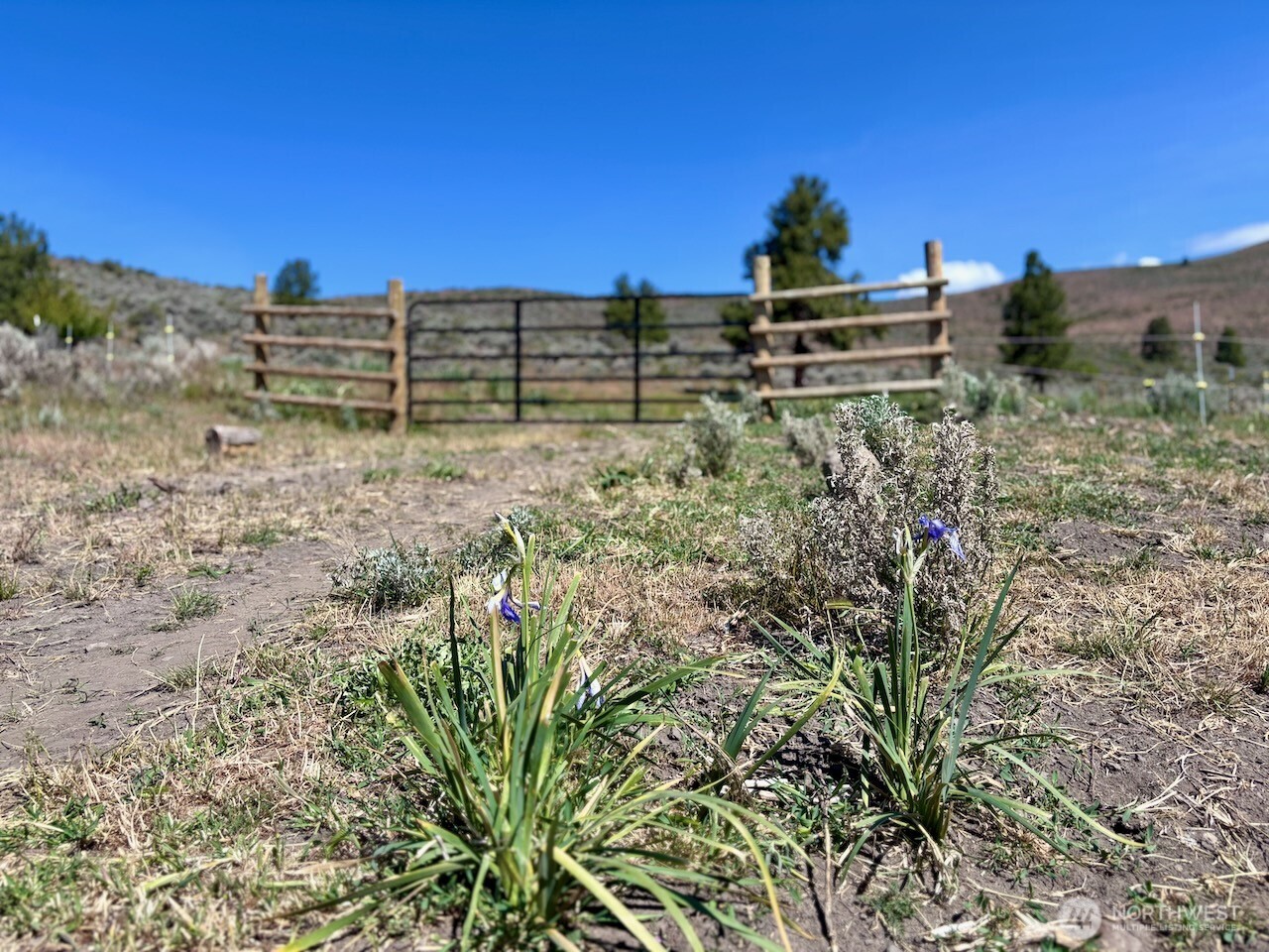 4 Xx Secret Canyon Road Property Photo 11