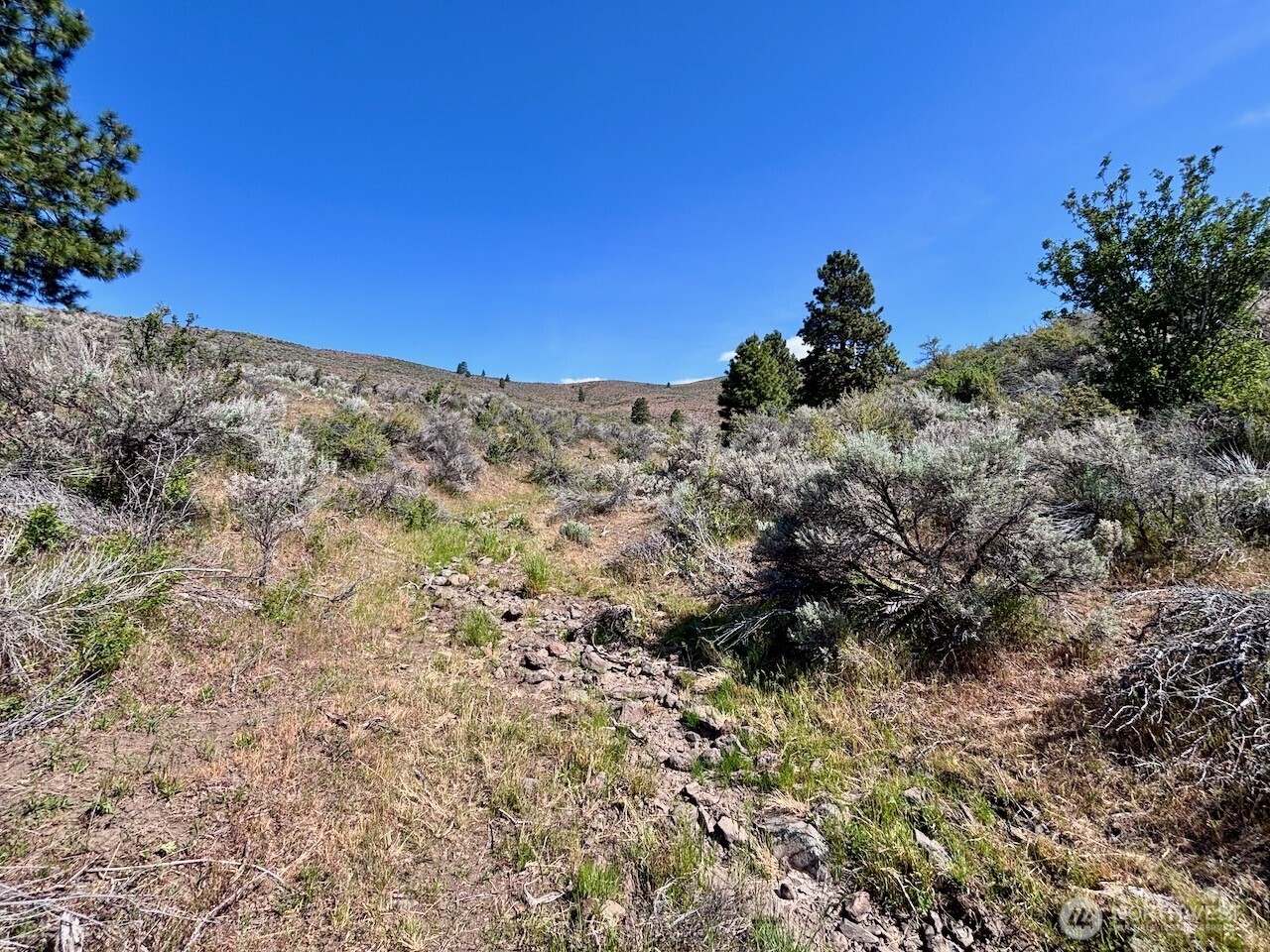 4 Xx Secret Canyon Road Property Photo 13