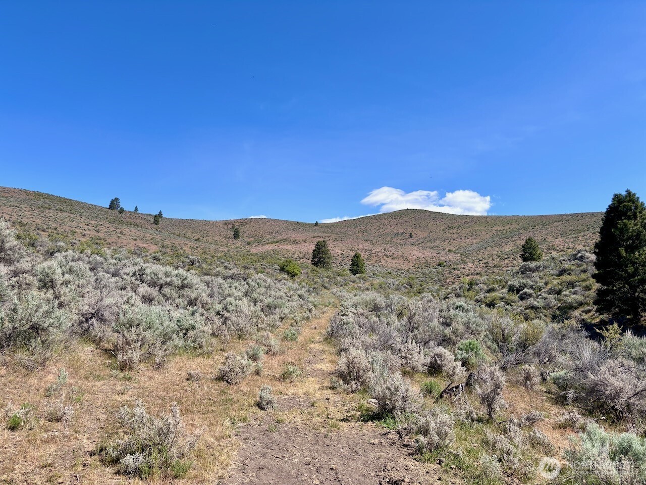 4 Xx Secret Canyon Road Property Photo 14