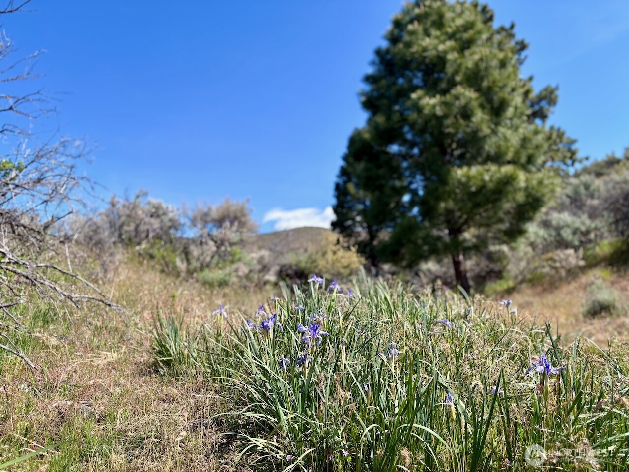 4 Xx Secret Canyon Road Property Photo 16