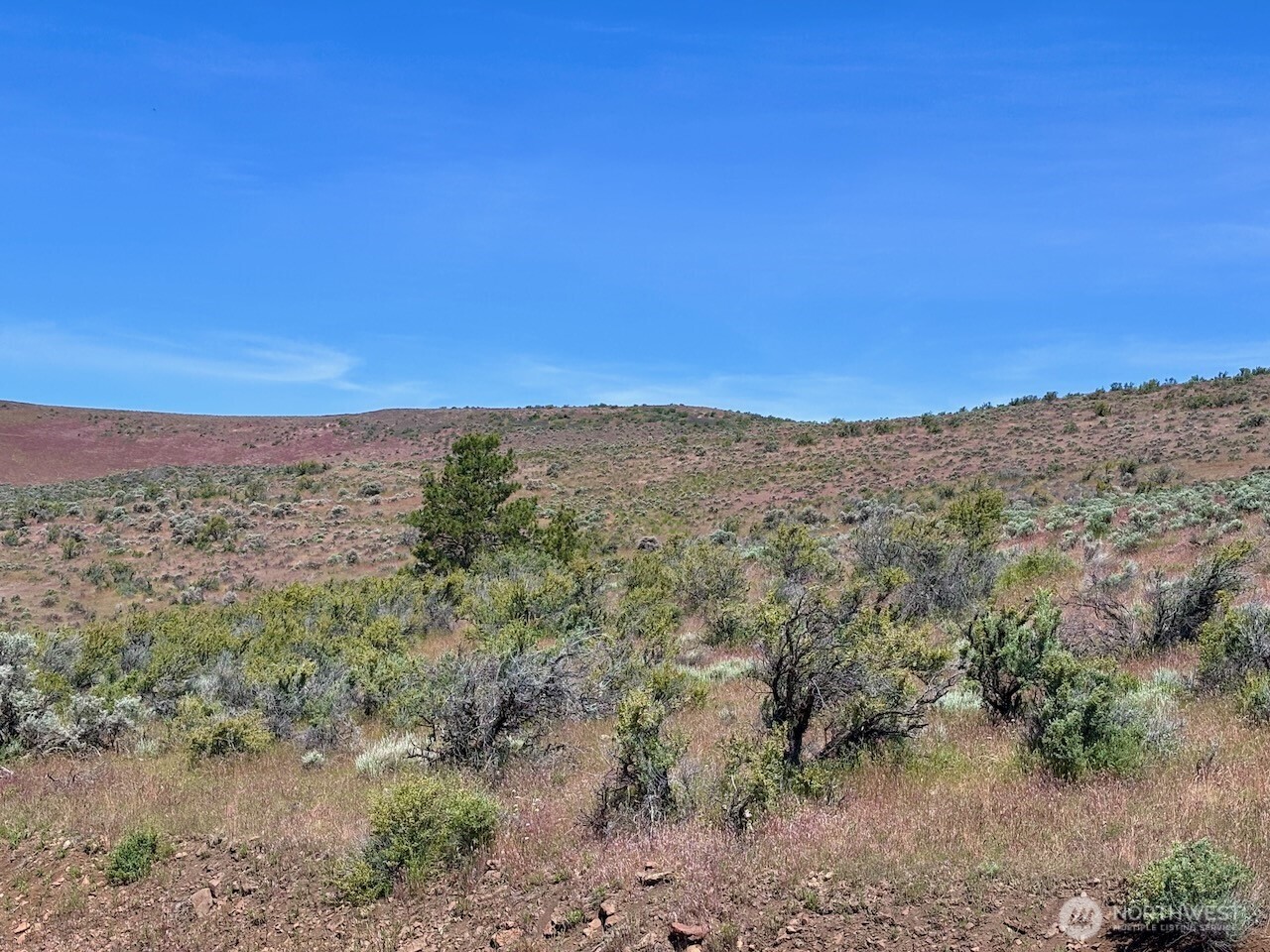 4 Xx Secret Canyon Road Property Photo 21