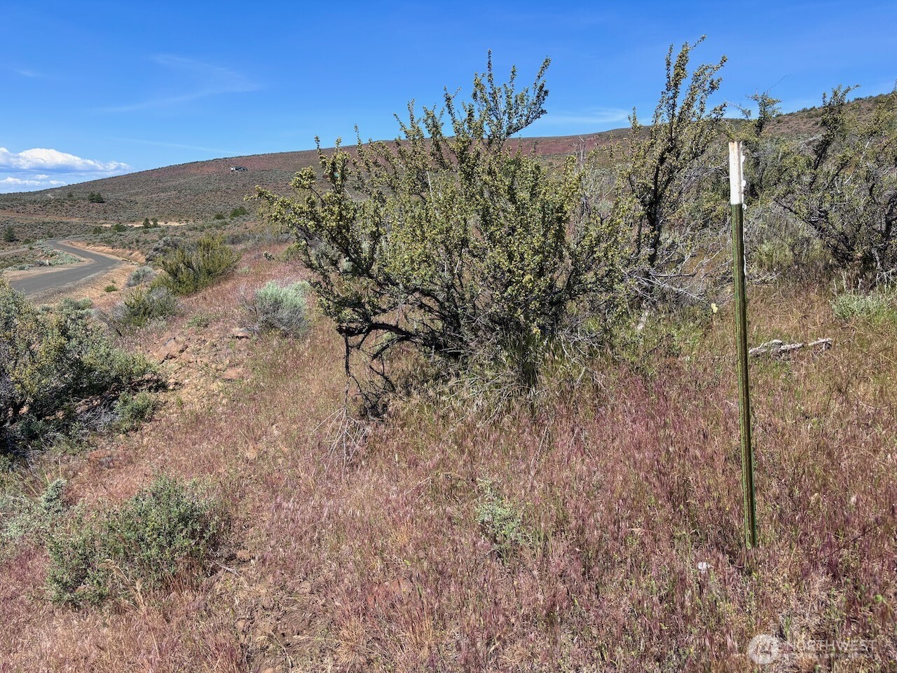 4 Xx Secret Canyon Road Property Photo 22