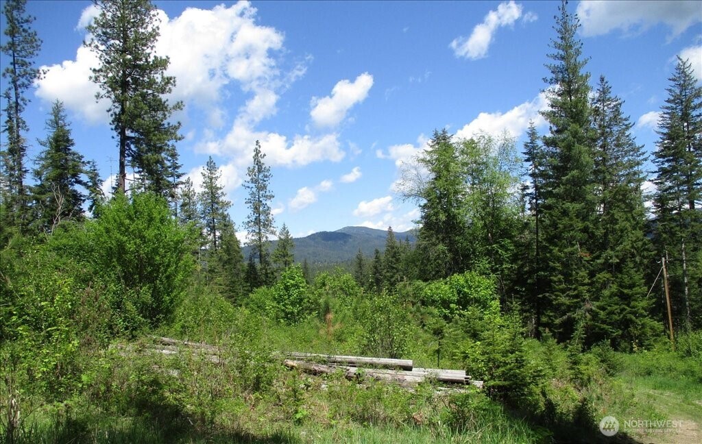 18 Xxx Miner Road Property Photo 13