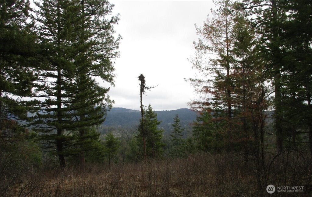 18 Xxx Miner Road Property Photo 17