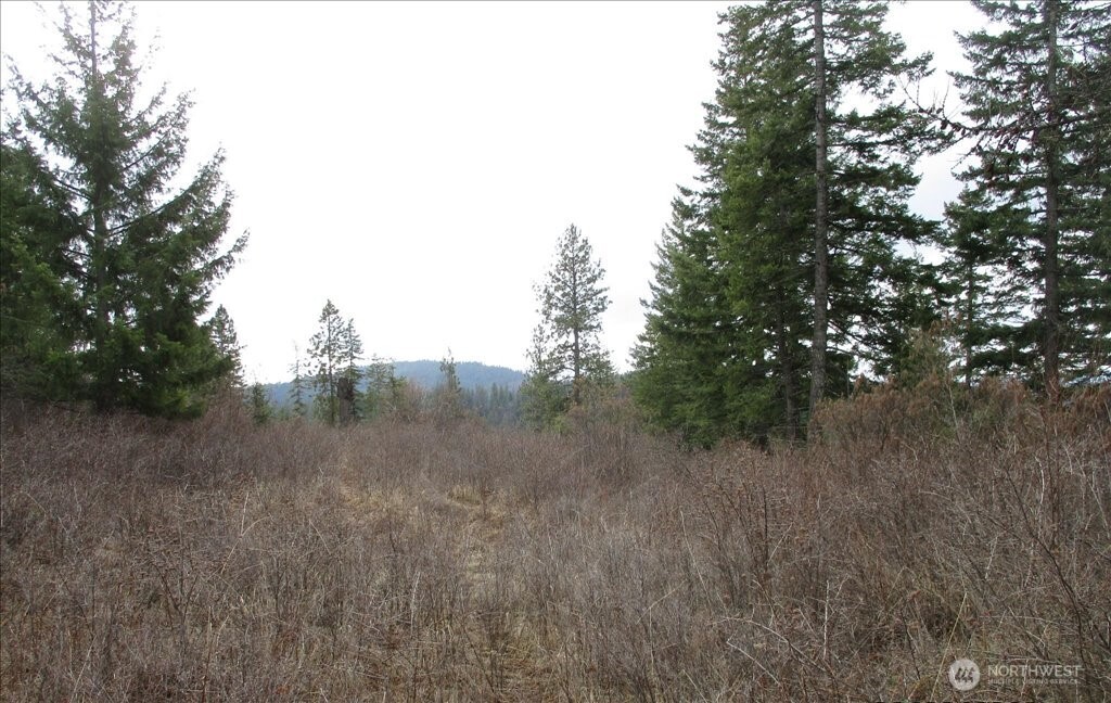 18 Xxx Miner Road Property Photo 18