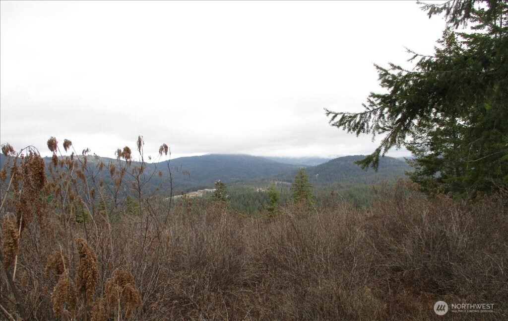 18 Xxx Miner Road Property Photo 19