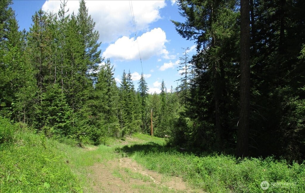 18 Xxx Miner Road Property Photo 21