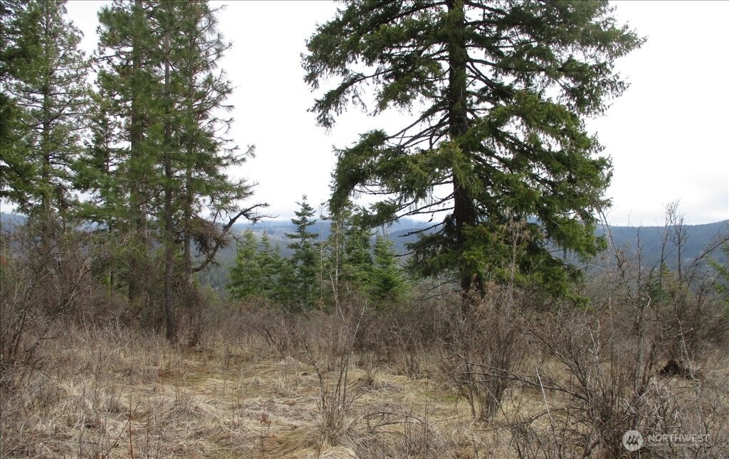 18 Xxx Miner Road Property Photo 23