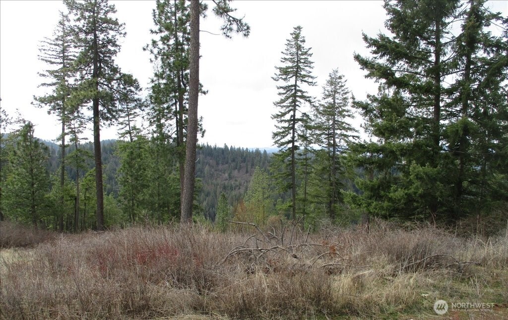 18 Xxx Miner Road Property Photo 29