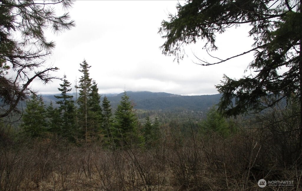 18 Xxx Miner Road Property Photo 30