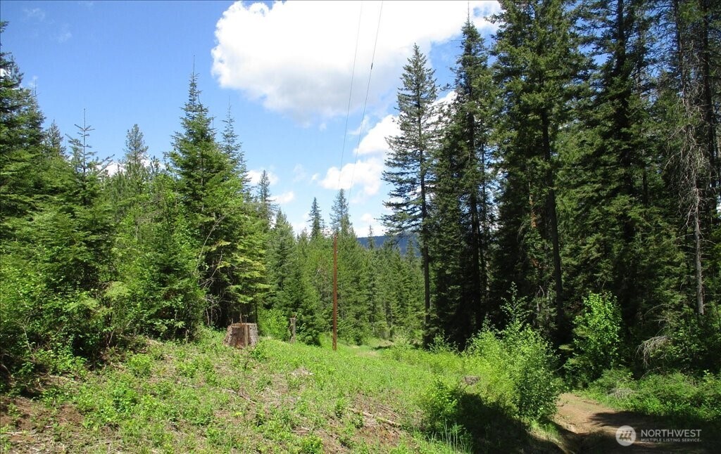 18 Xxx Miner Road Property Photo 38