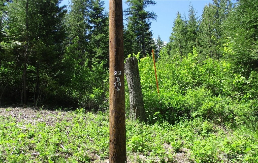 18 Xxx Miner Road Property Photo 39