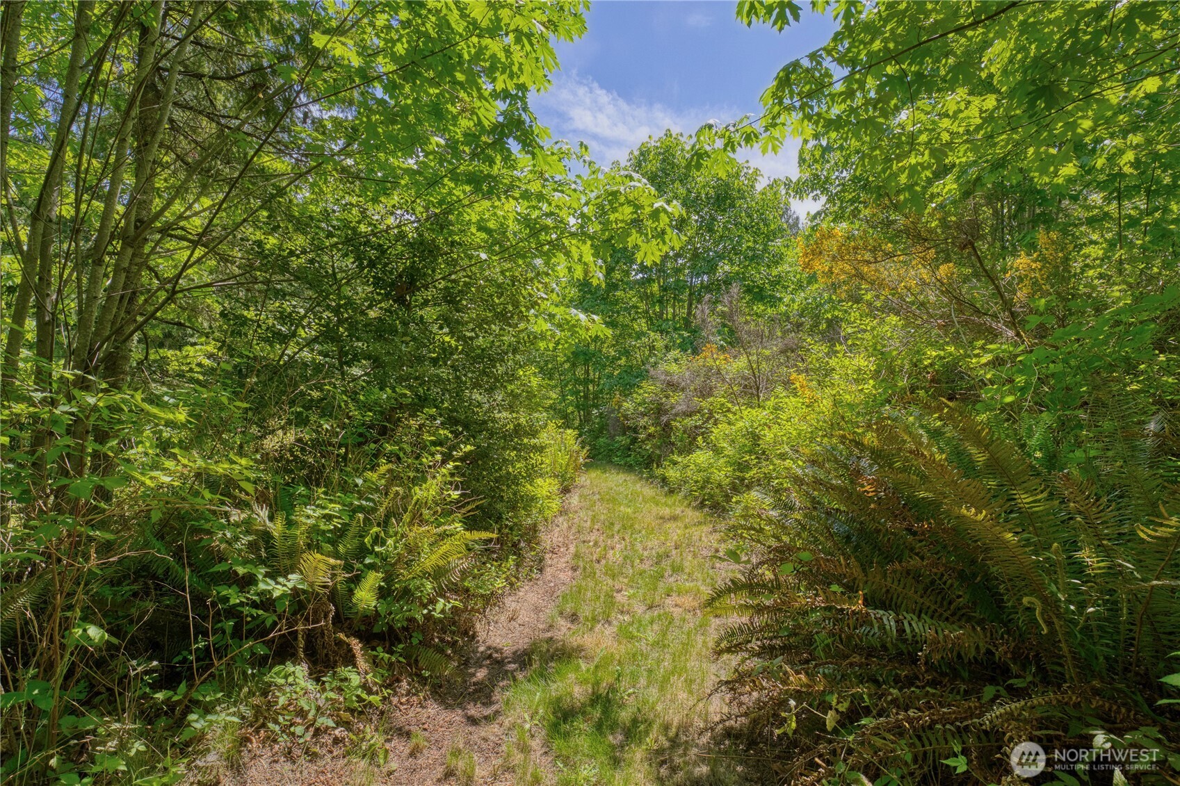 8924 Ne Broughton Court Property Photo 21
