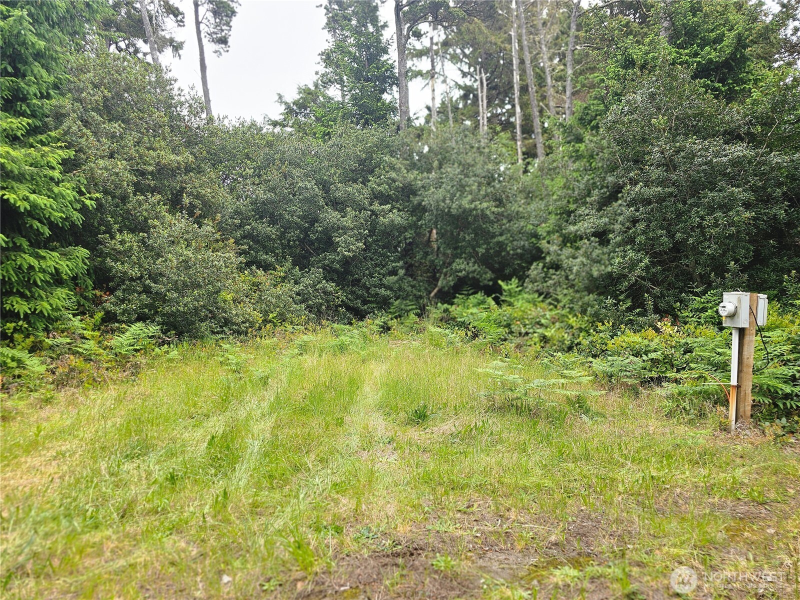 30808 J Place Property Photo 3