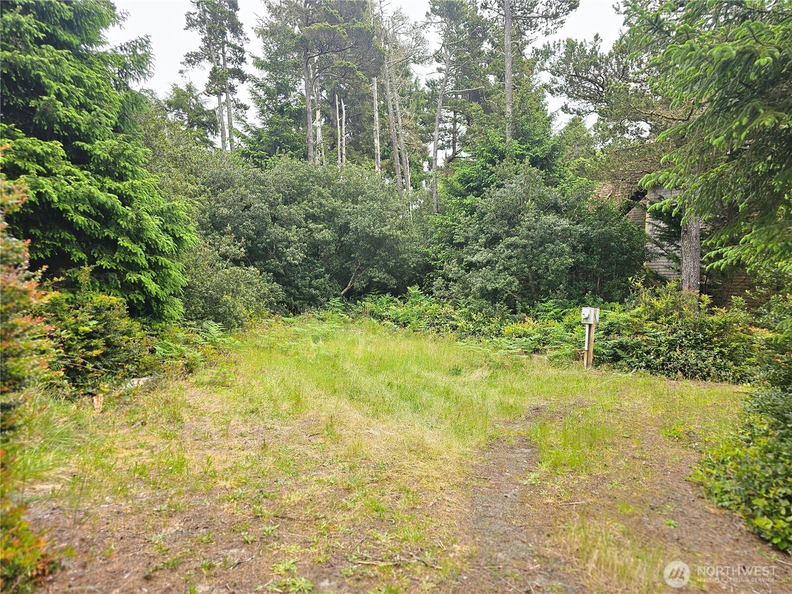 30808 J Place Property Photo 4