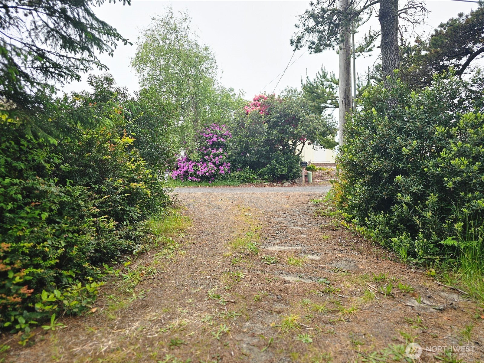 30808 J Place Property Photo 11