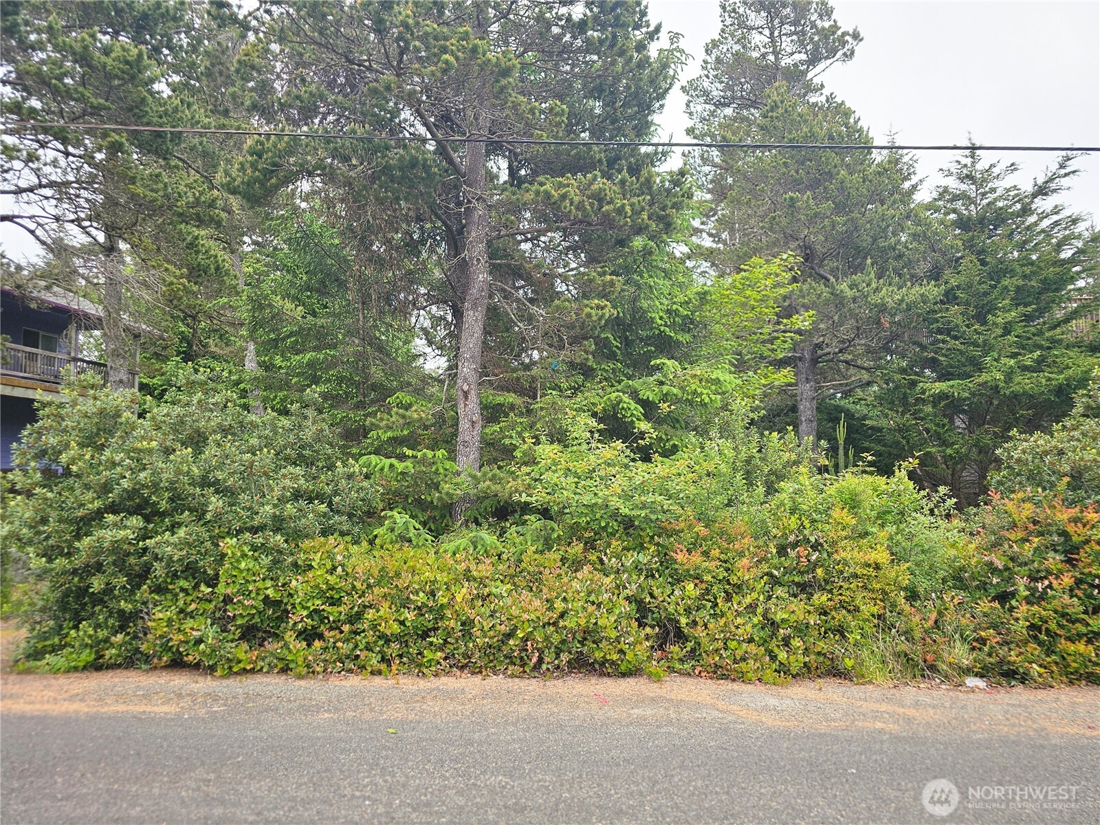 30808 J Place Property Photo 12