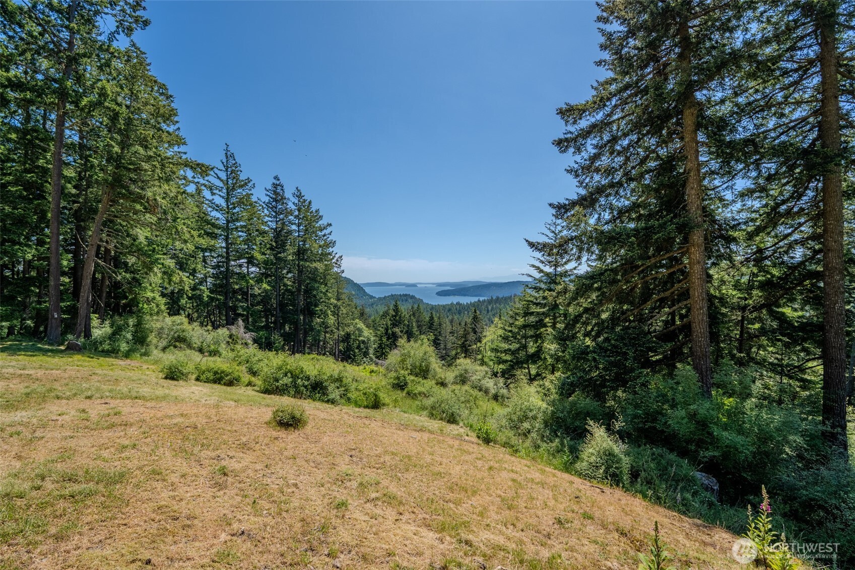 521 Vusario Lane Property Photo 8