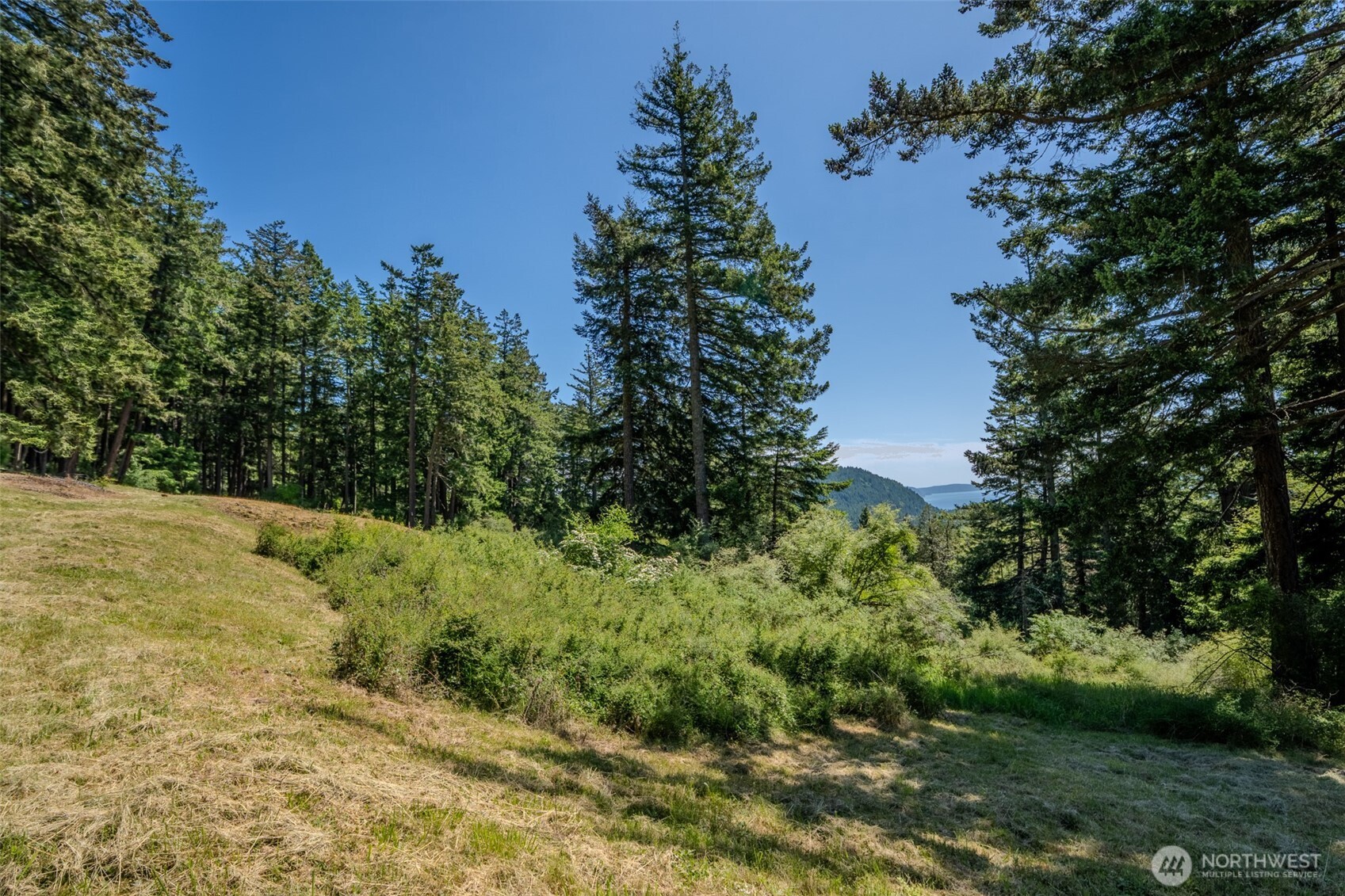 521 Vusario Lane Property Photo 15