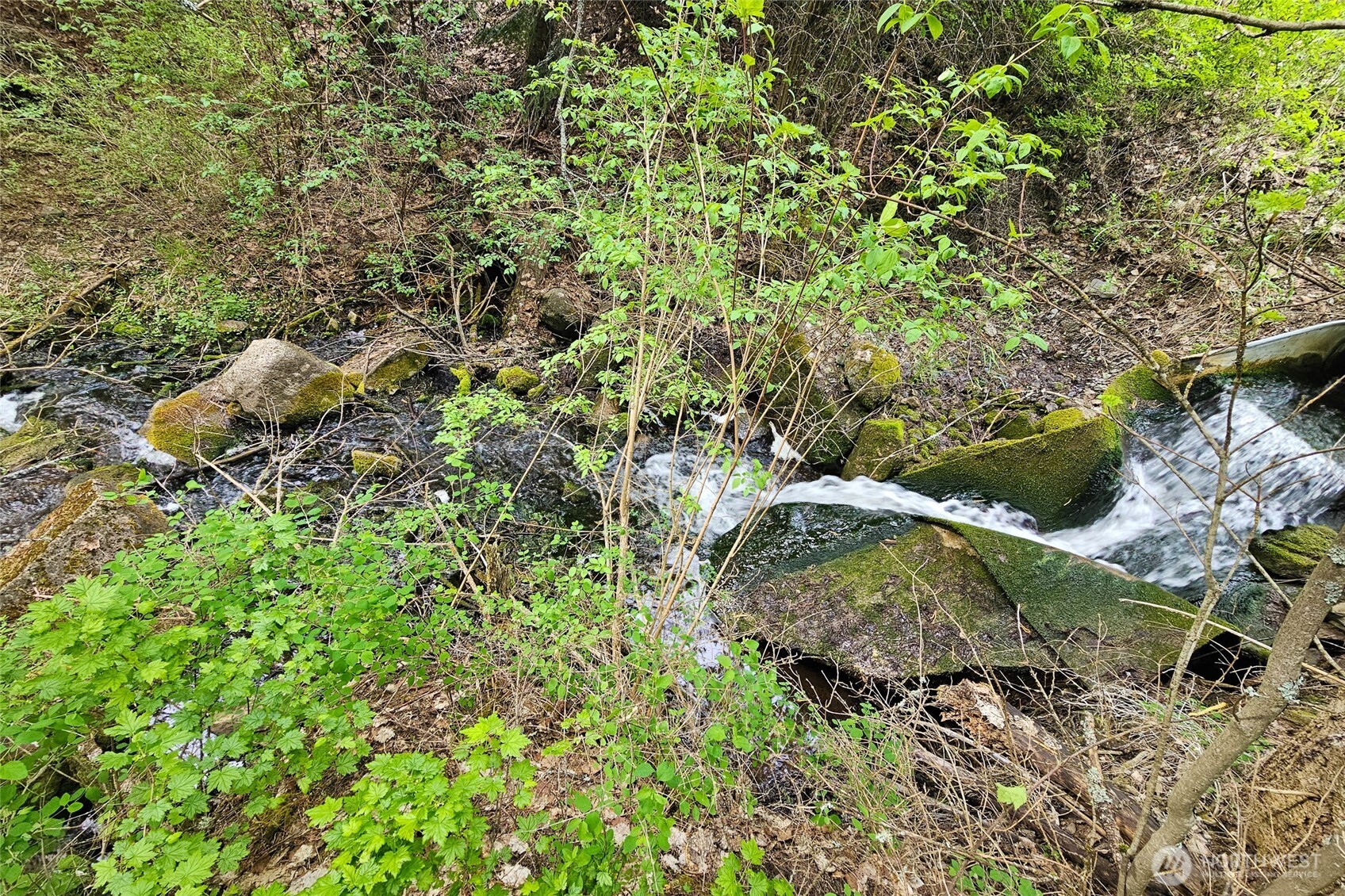 3114 Old Baldy Road Property Photo 19