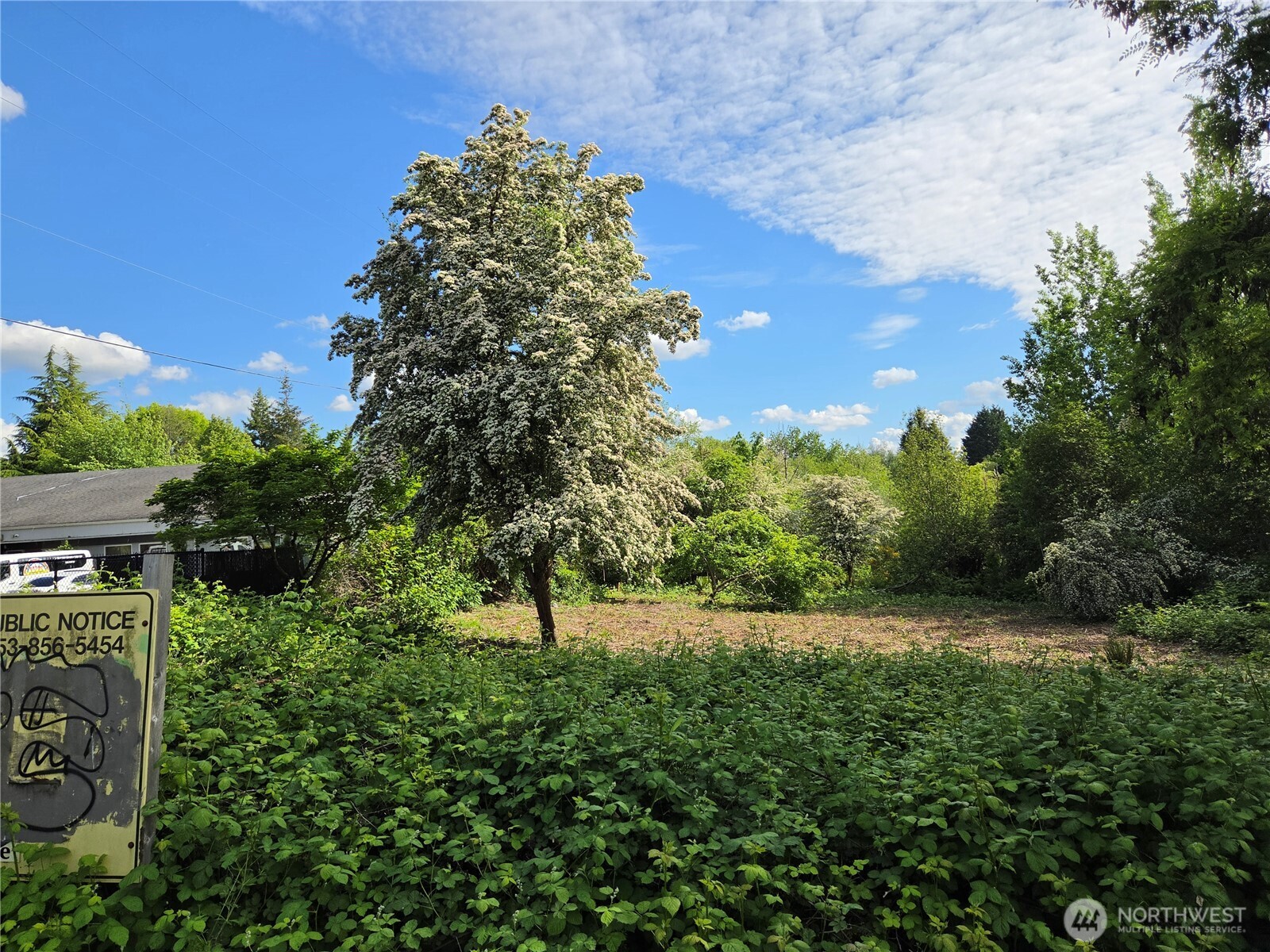 14707 Se 272nd Property Photo 1