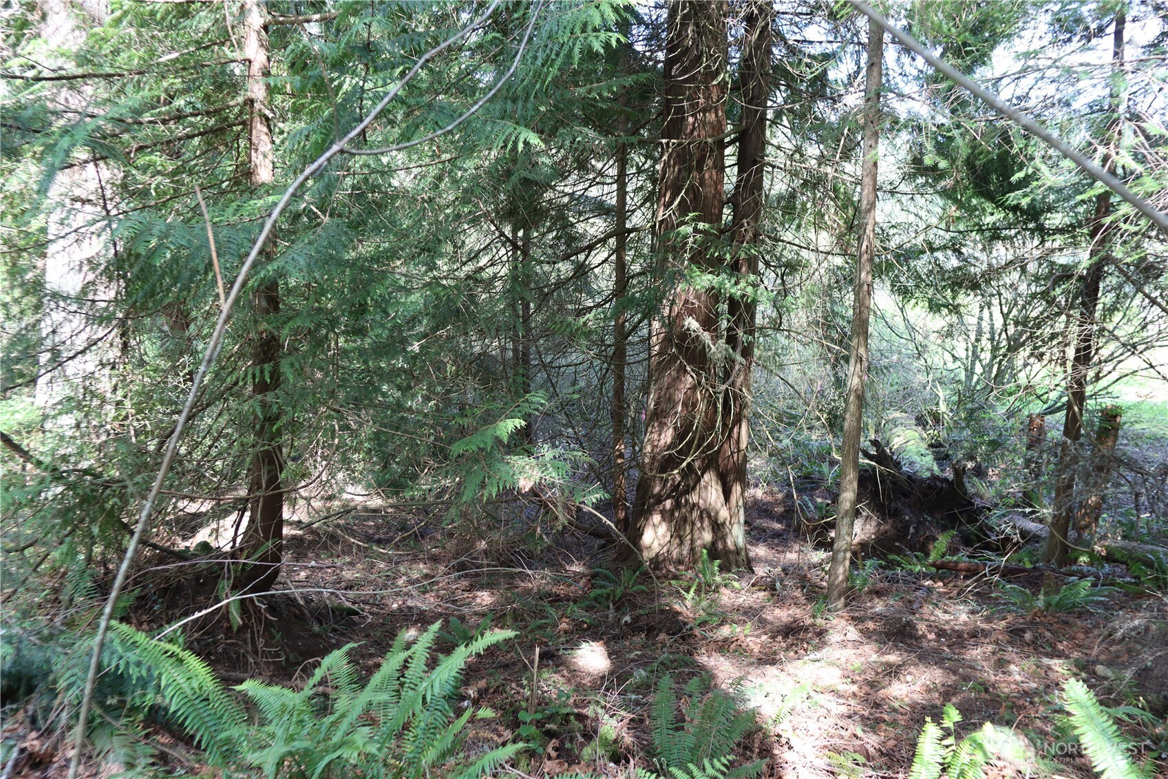 260 Xx Se 18th Place Property Photo 5