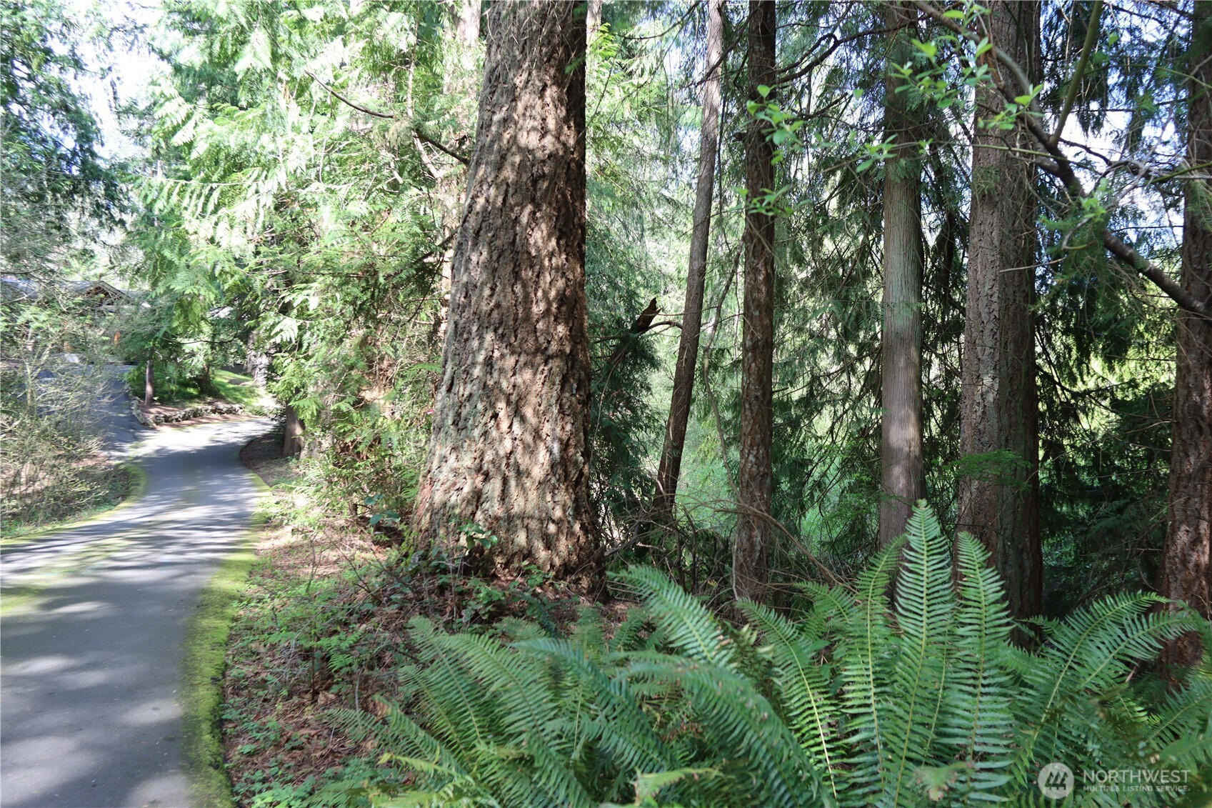 260 Xx Se 18th Place Property Photo 6
