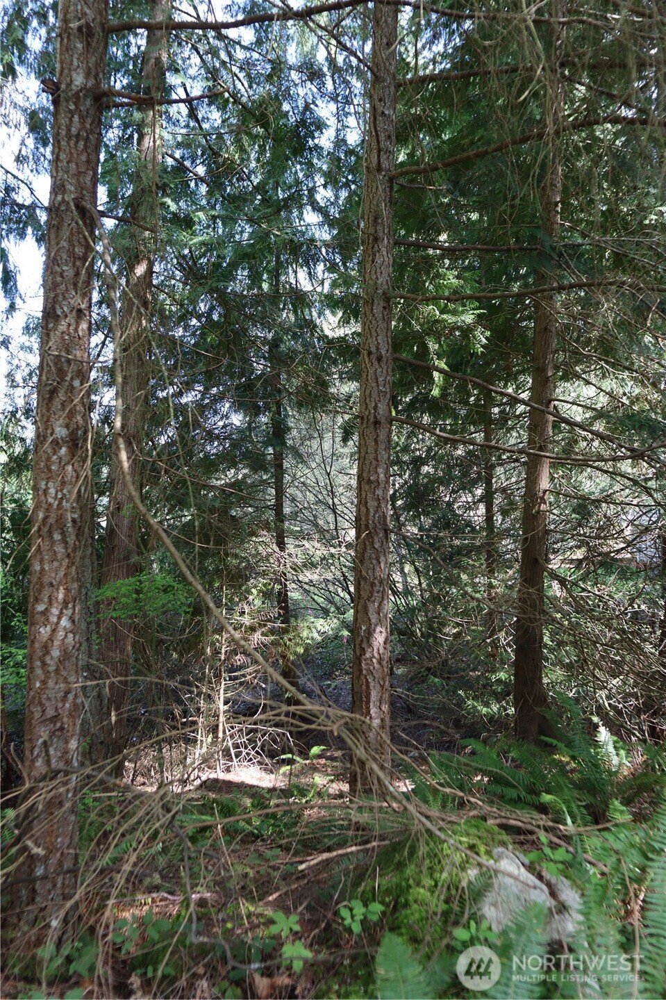 260 Xx Se 18th Place Property Photo 8