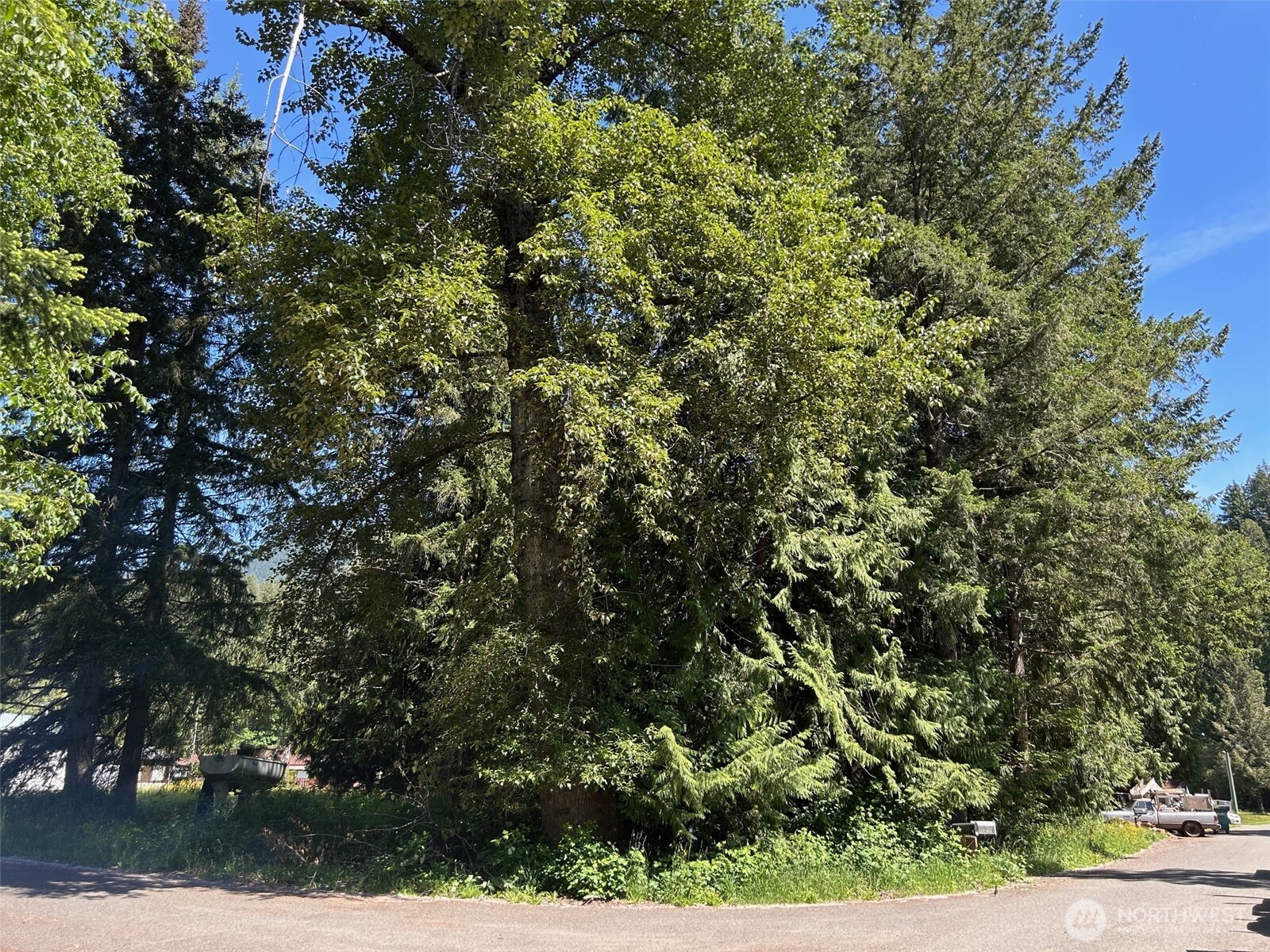 201 Morgan Lane Property Photo 2