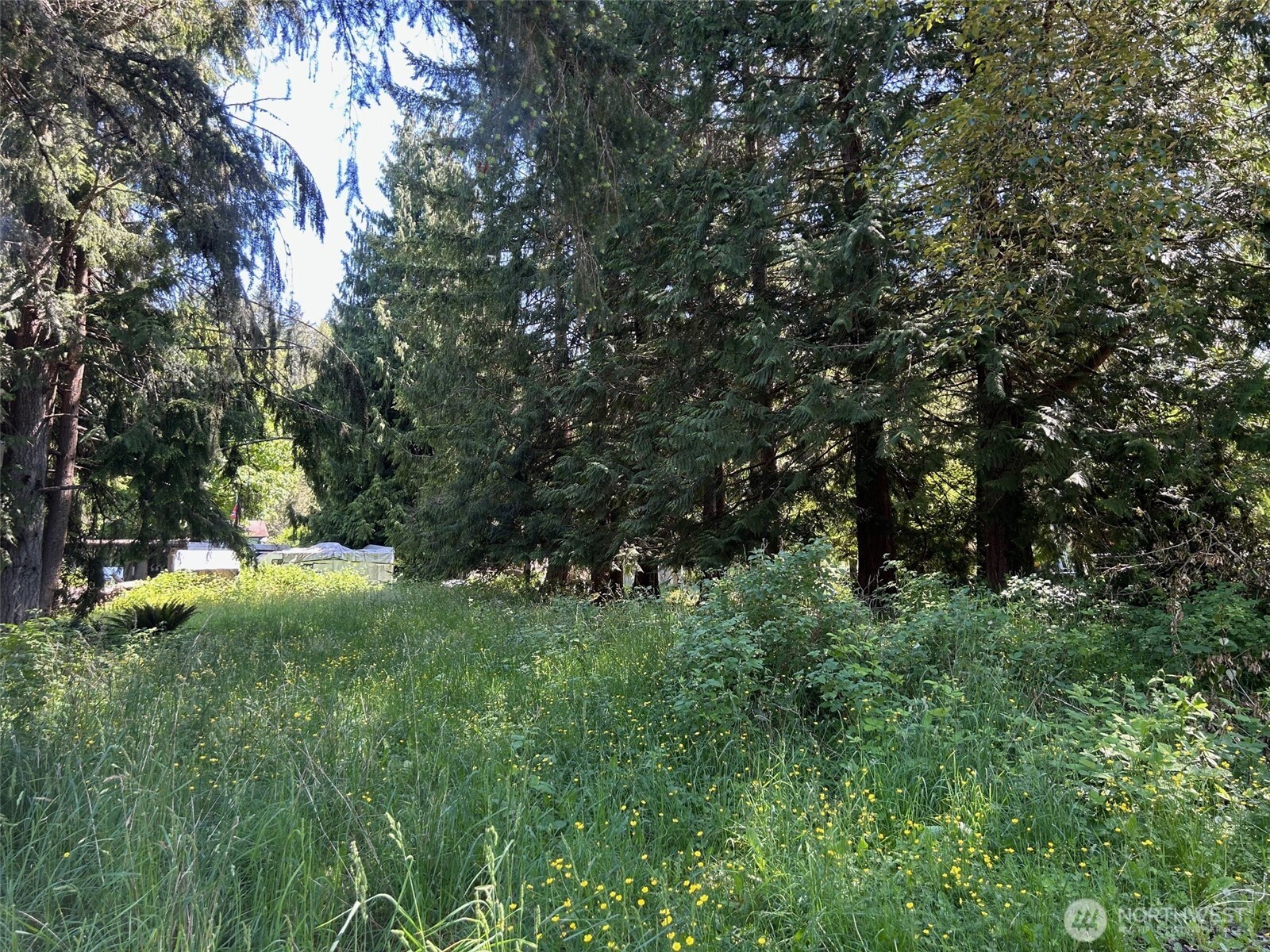 201 Morgan Lane Property Photo 3