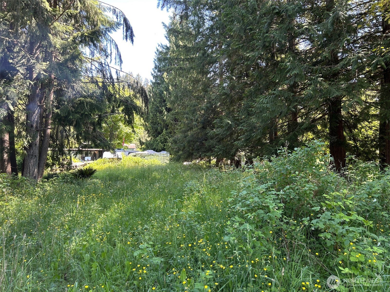 201 Morgan Lane Property Photo 5