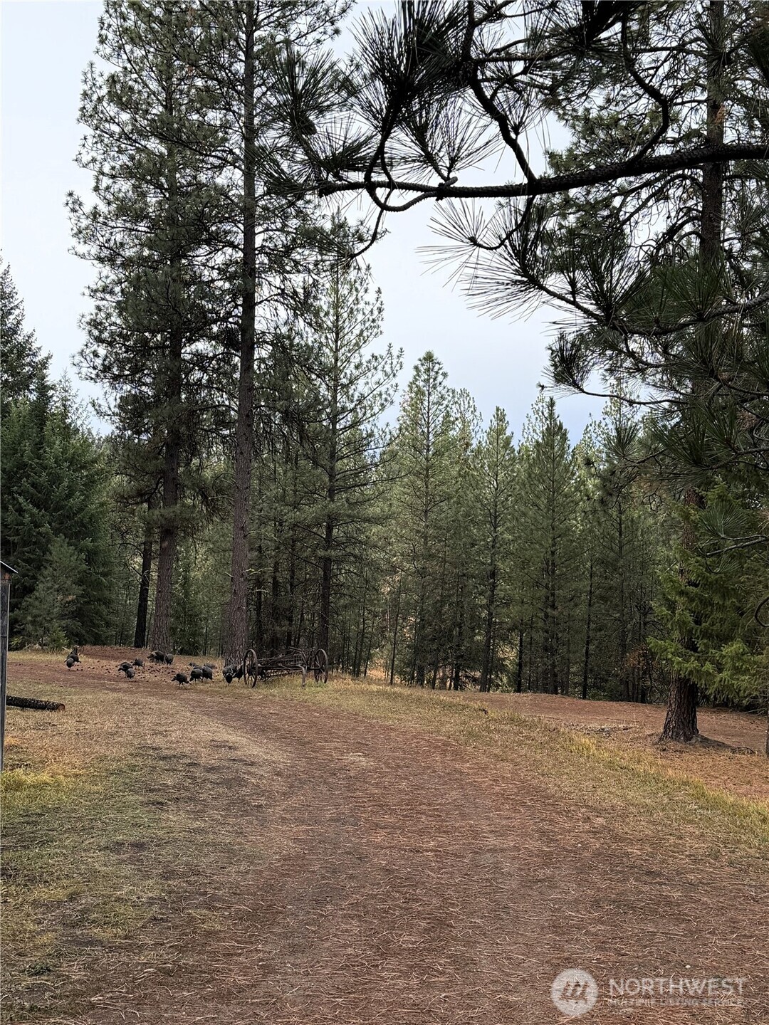 30543 Hwy 20 Property Photo 5