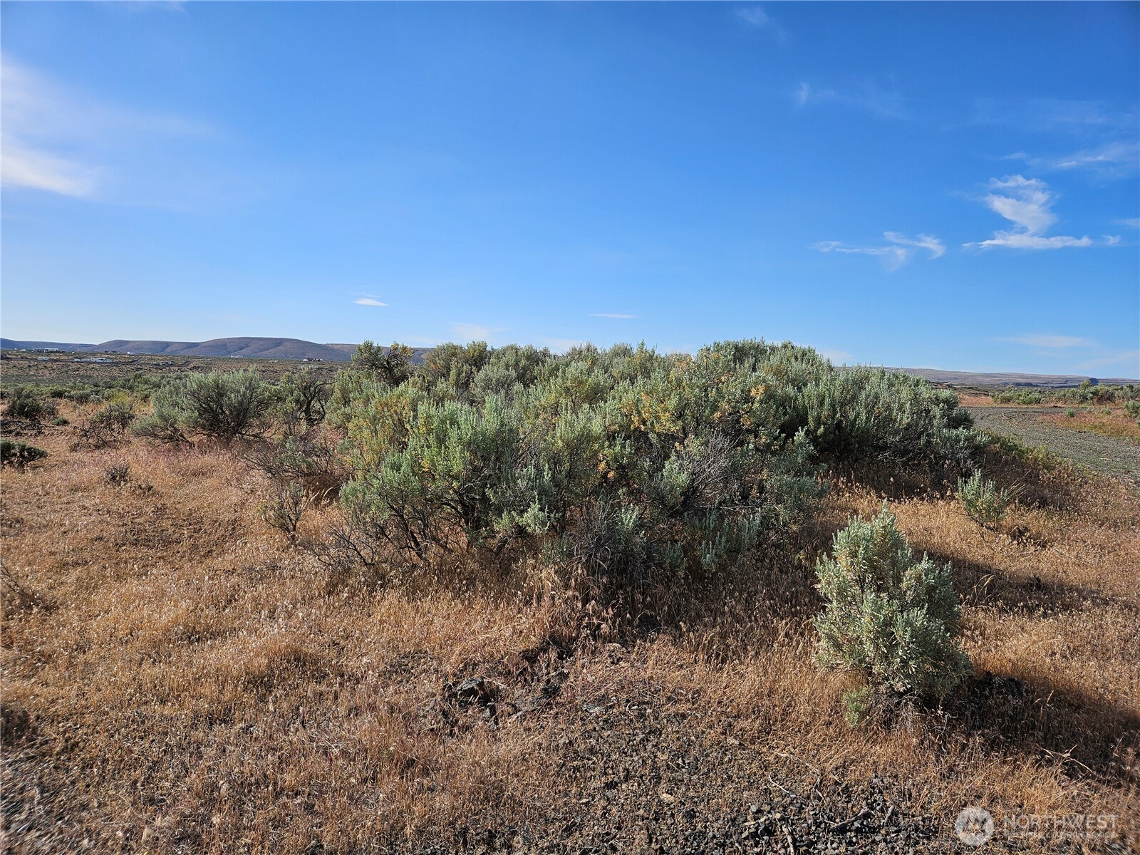 1741 Rawhide Court Property Photo 14