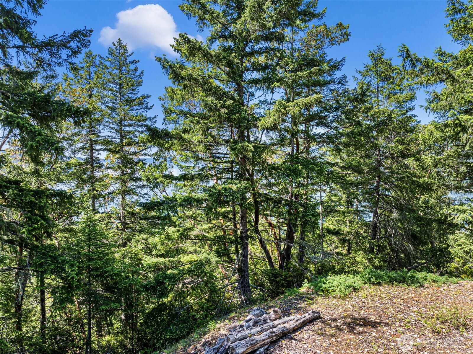 2 Lot 2 Capstan Rock Property Photo 6