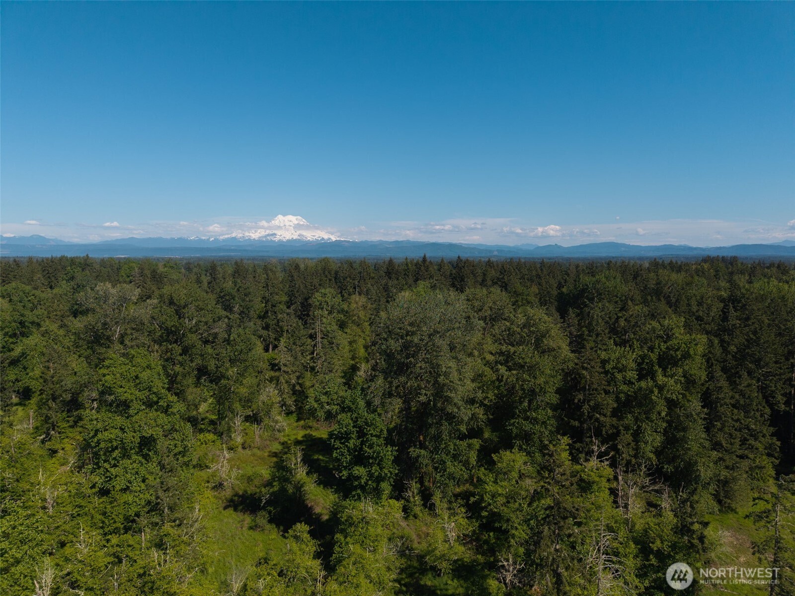 1716 304th Street Property Photo 19
