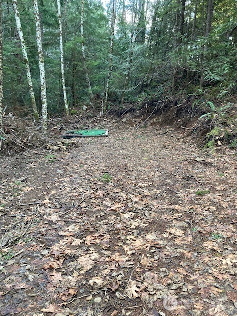 0 N Dow Ridge Property Photo 1