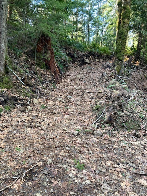 0 N Dow Ridge Property Photo 2