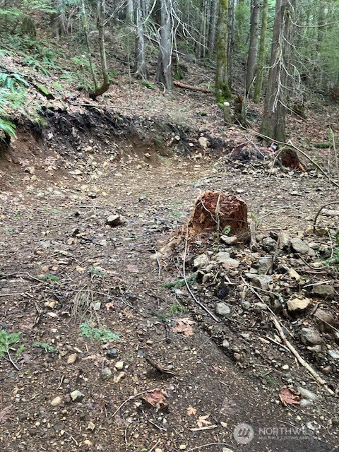 0 N Dow Ridge Property Photo 4