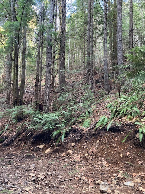 0 N Dow Ridge Property Photo 5