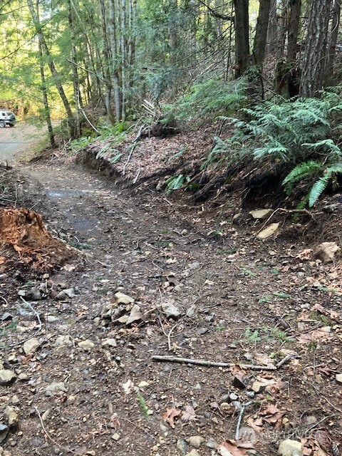 0 N Dow Ridge Property Photo 6