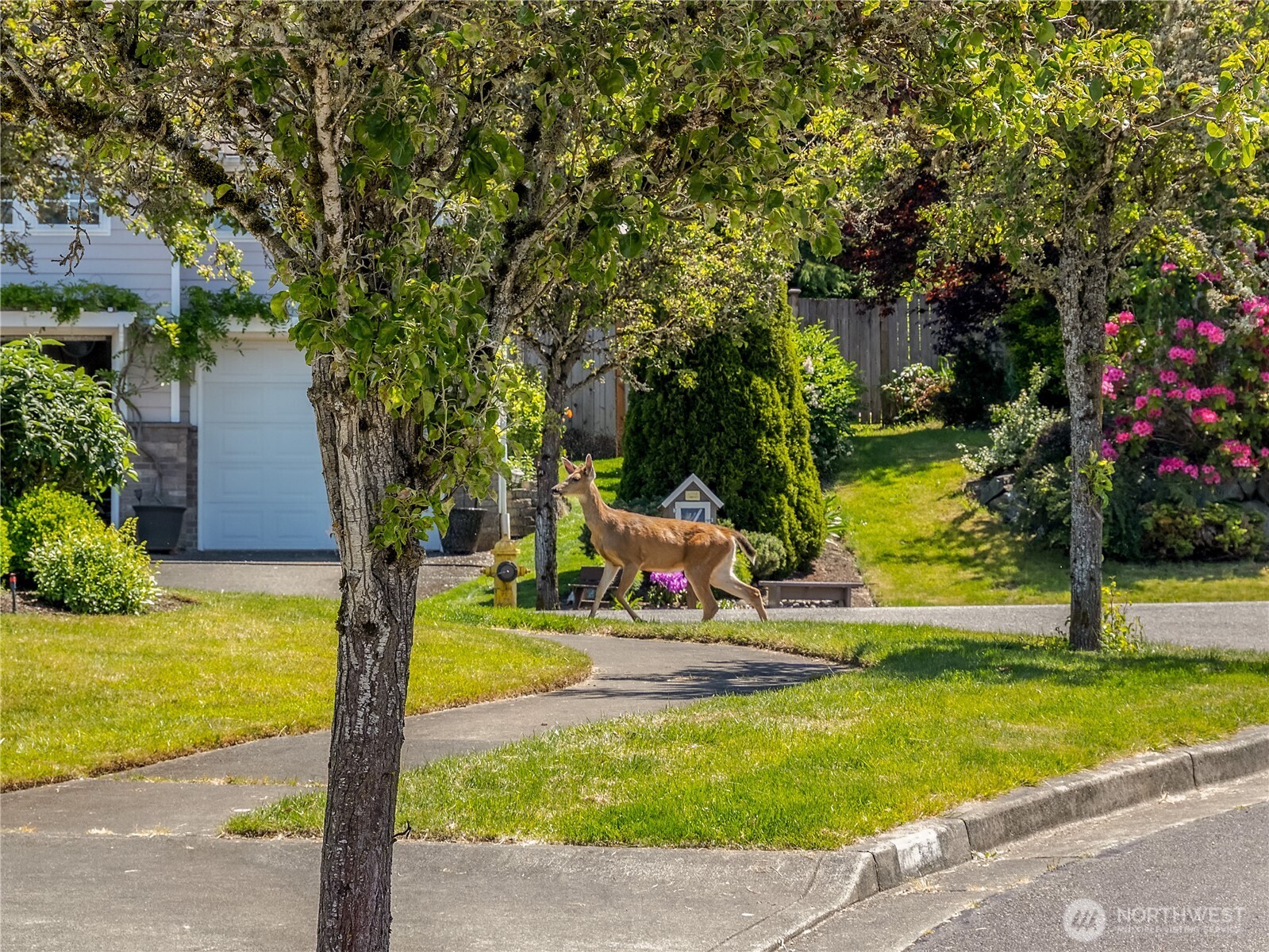 4029 Crystal Ridge Drive Property Photo 38