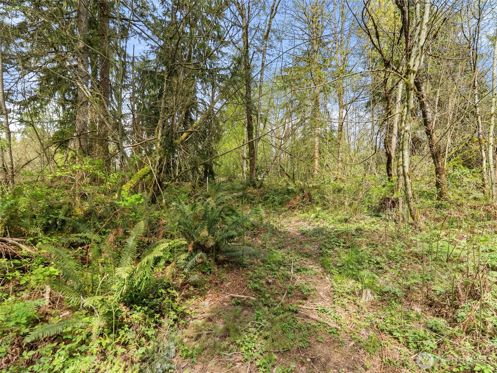 67 Xx 258th Avenue Property Photo 17