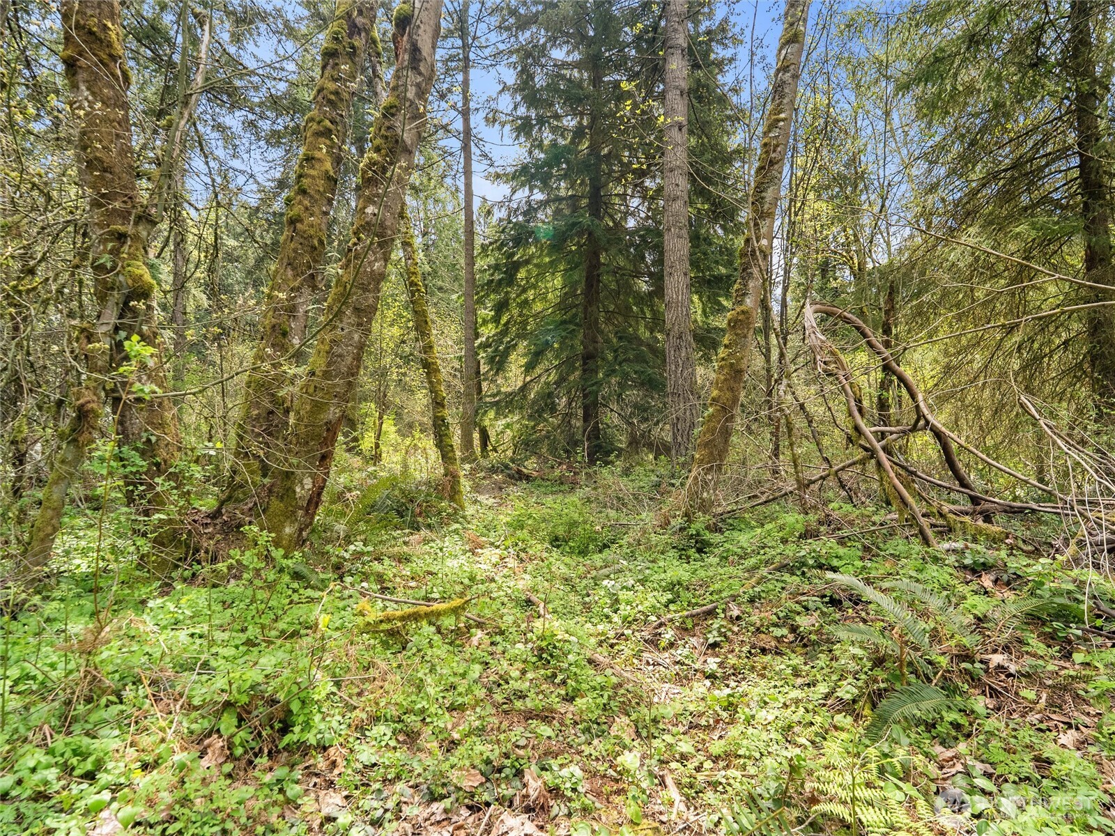 67 Xx 258th Avenue Property Photo 19