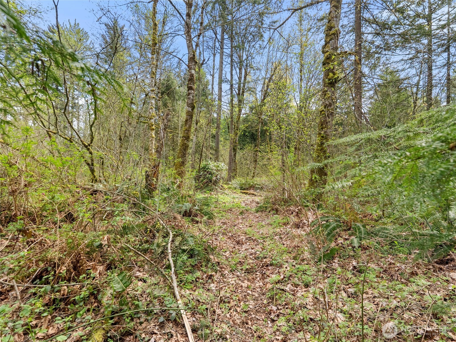 67 Xx 258th Avenue Property Photo 21