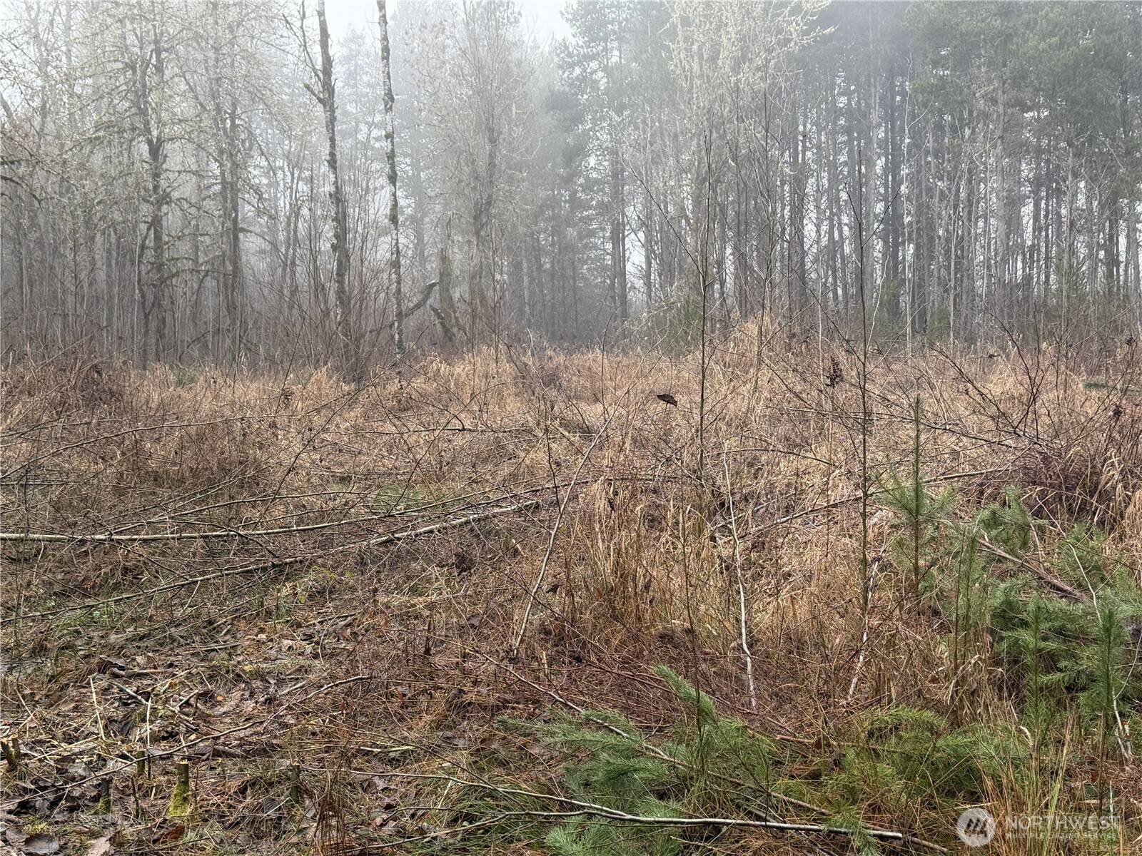 310 Oyler Road Property Photo 4
