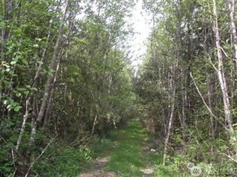310 Oyler Road Property Photo 5