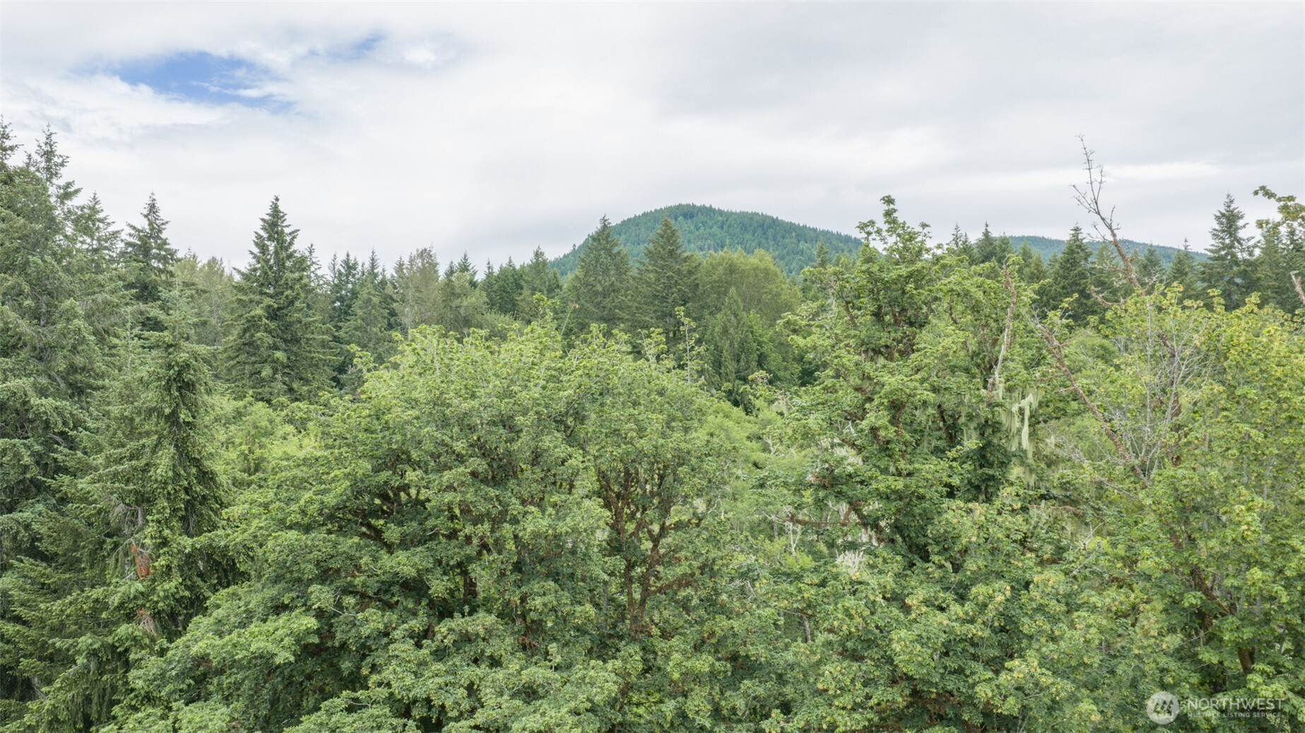 670 N Duckabush Drive Property Photo 32