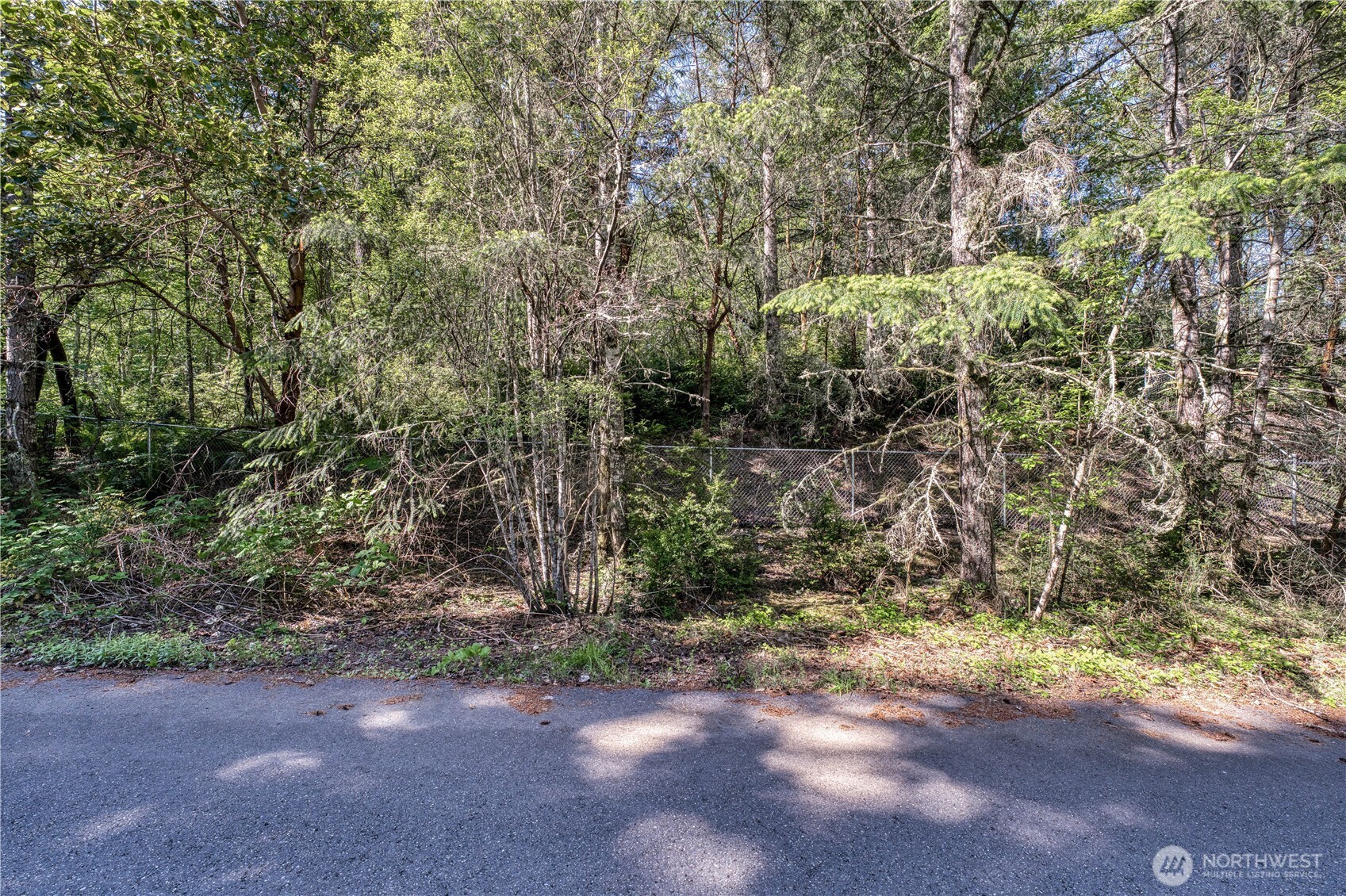 20116 9th Street Property Photo 5
