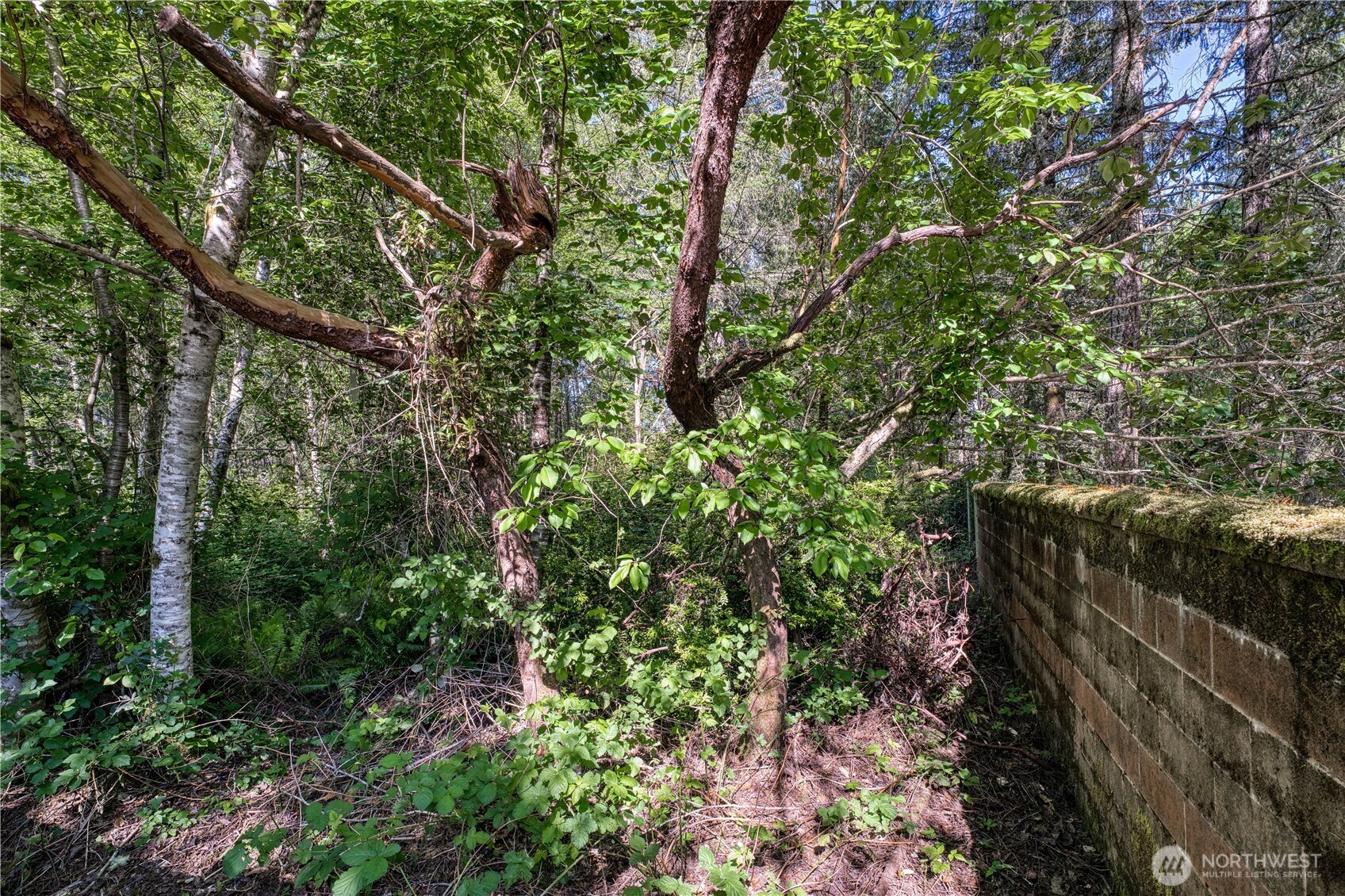 20116 9th Street Property Photo 7