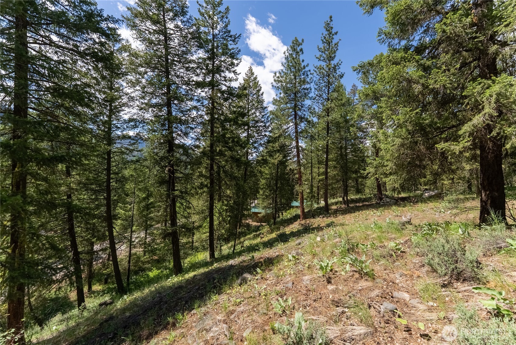 6 Homestead Road Property Photo 15